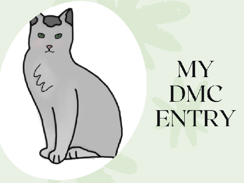 My DMC Entry!