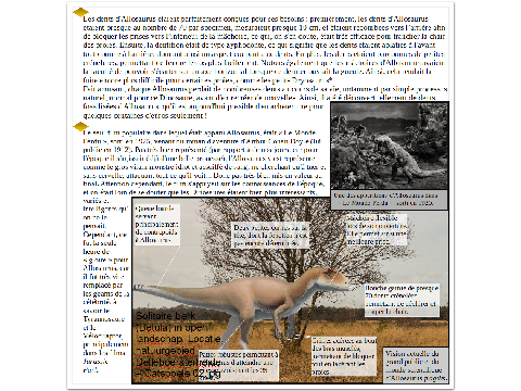 My project of a Dinosaur Encyclopedia english version