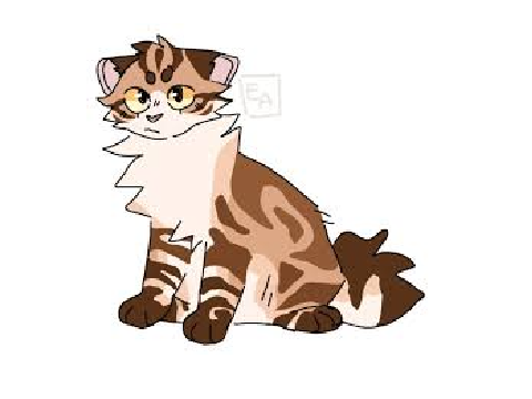 Sunpaw