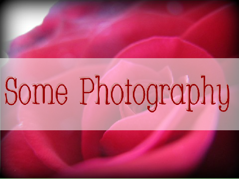 ❋Some Photography❋