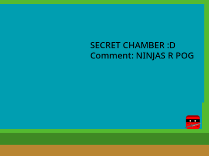 The Ninja 1 HACKED