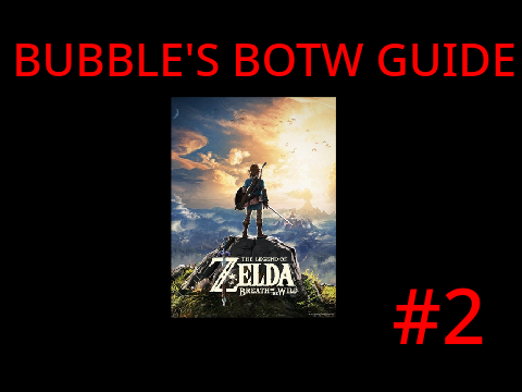 Bubble's BOTW Guide: #2