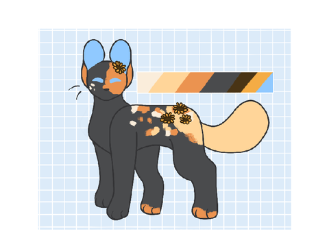 sunhawk ❀ redesign