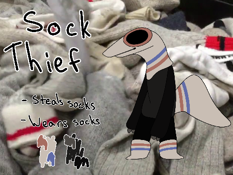 here is sock thief