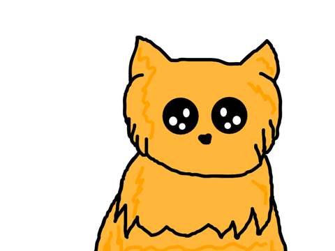 my entry 