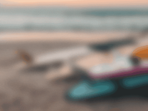 — Island —