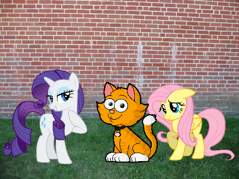 mlp: tornado episode 11: what fluttershy's been doing