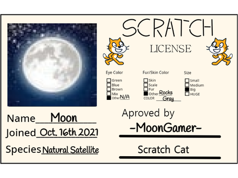 My Scratch License