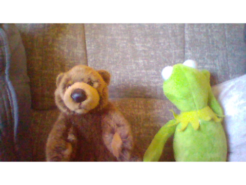 thing but my plushies