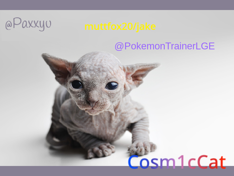 Sign if you will give Sphynx cats love remix remix remix-Cosm1cCat