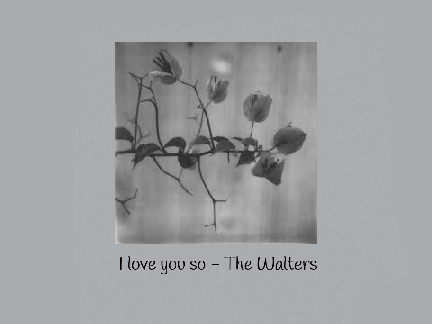 I love you so - The Walters