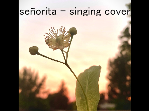 señorita | singing cover