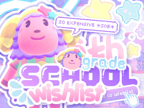 ⭐ 6ᵗʰ grd wishlist。