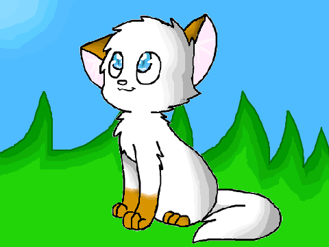 Happy Cat CCE
