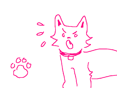 Give me attention!!! Now!!