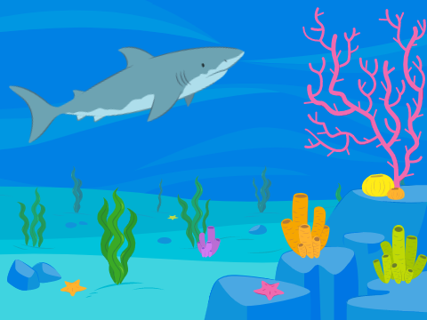Shark