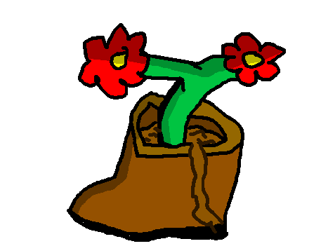 Shoe-Plant