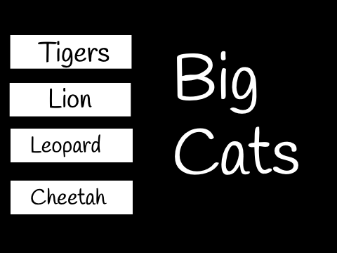 Big Cats facts