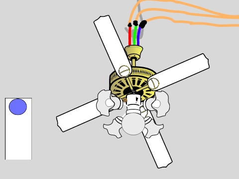 A Fan copy