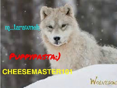 SIGN IF YOU ARE AGAINST ANIMAL HUNTING! remix