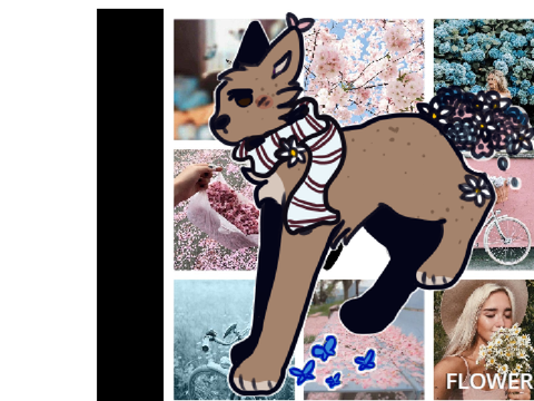 Temporary Flowers Reference!