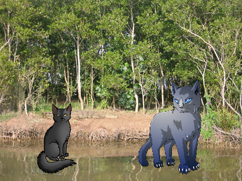 Bad Flamepaw