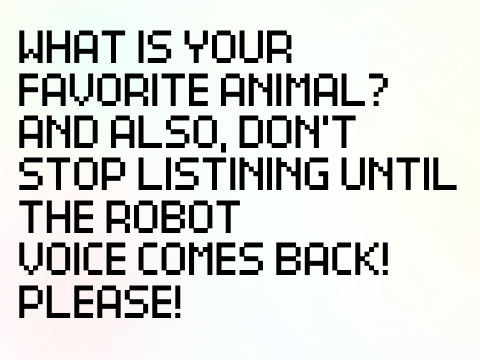 Words That I Yell A Lot!!!!!!