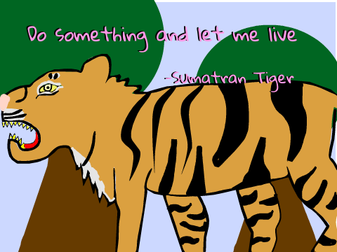 Sumatran Tiger Art Version 1
