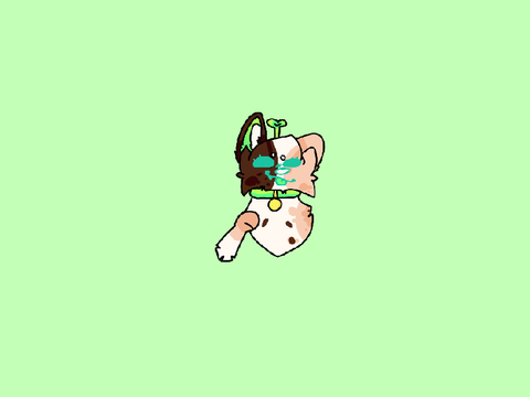 :eyes: dump,,,