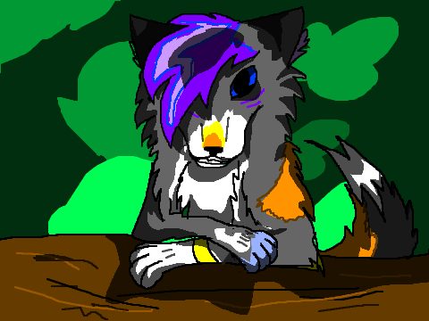 Wolf Coloring Contest remix