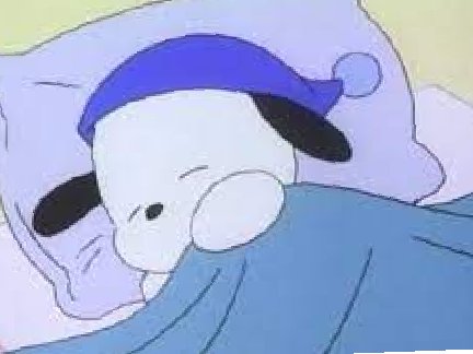 let the bunny sleep dude- **sanrio pochacco sleeping**