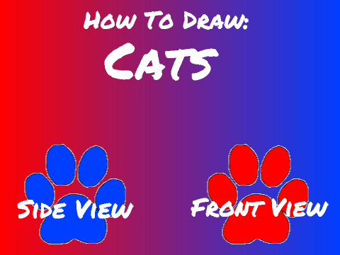 How To Draw Cats!