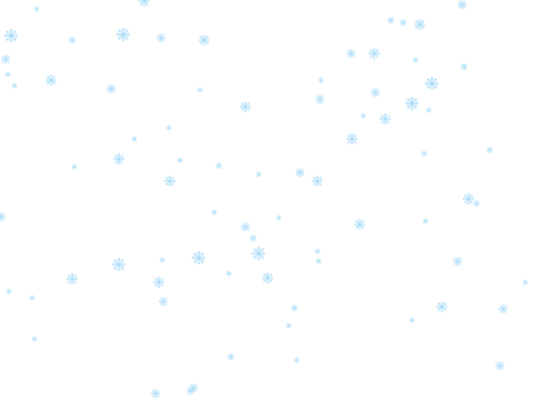 snow test