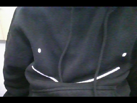hoodie reveal??? O-O -ty for 100+ followers-