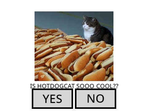 hotdogcat quiz!!