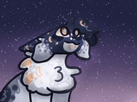Entry for Sky - 1