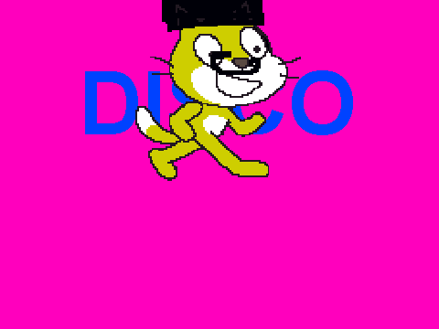 DISCO CAT