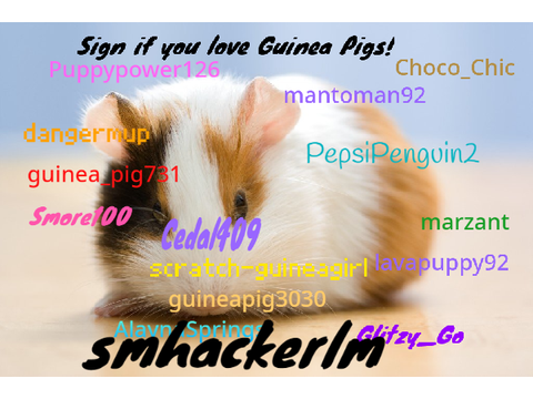 Sign if you love Guinea Pigs! remix  remix