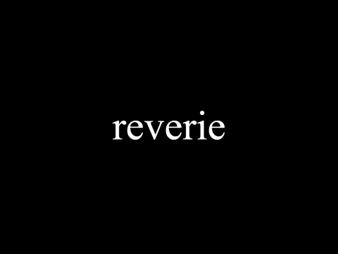 reverie - sac art contest entry