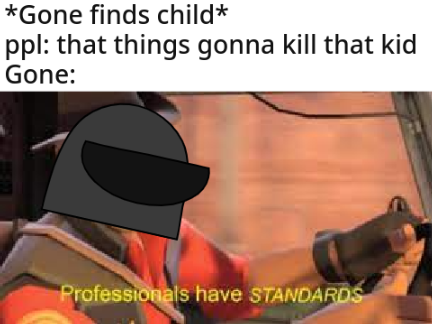 professionals have standards