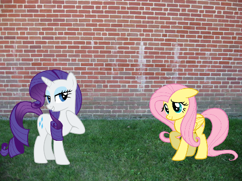 mlp: tornado episode 13: did the cat really do it?