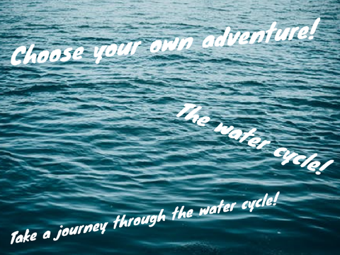 Water Cycle | Choose Your Own Adventure!