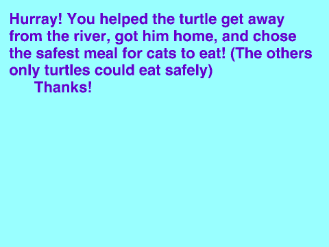 Help the turtle! (Choose your own adventure)