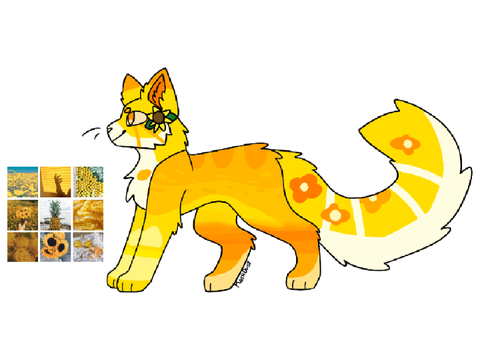 ✩Sunflower