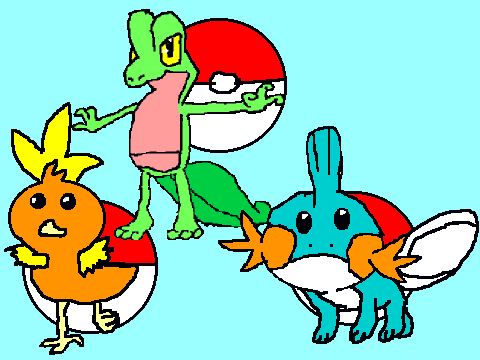 Torchic, Treeko, and Mudkip!!