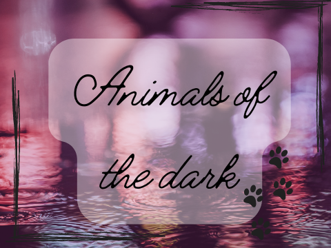 Animals Of The Dark