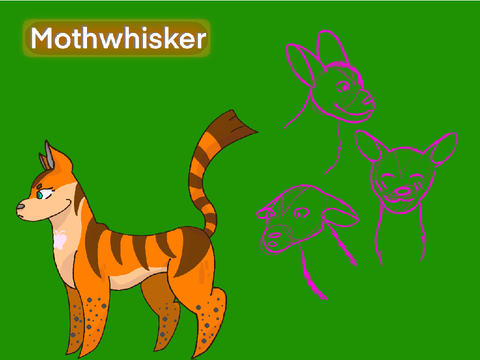 Mothwhisker ref :D