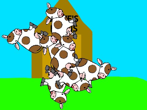 STEVE'S BARNS