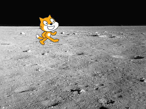 Catch The Cat | Game For Starters