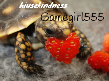 Remix and add ur name if u believe we should save the turtles!